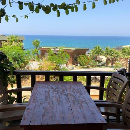 Zambak Holiday Village & Restaurant Superb Seafront Location ! Agios Georgios  المظهر الخارجي الصورة