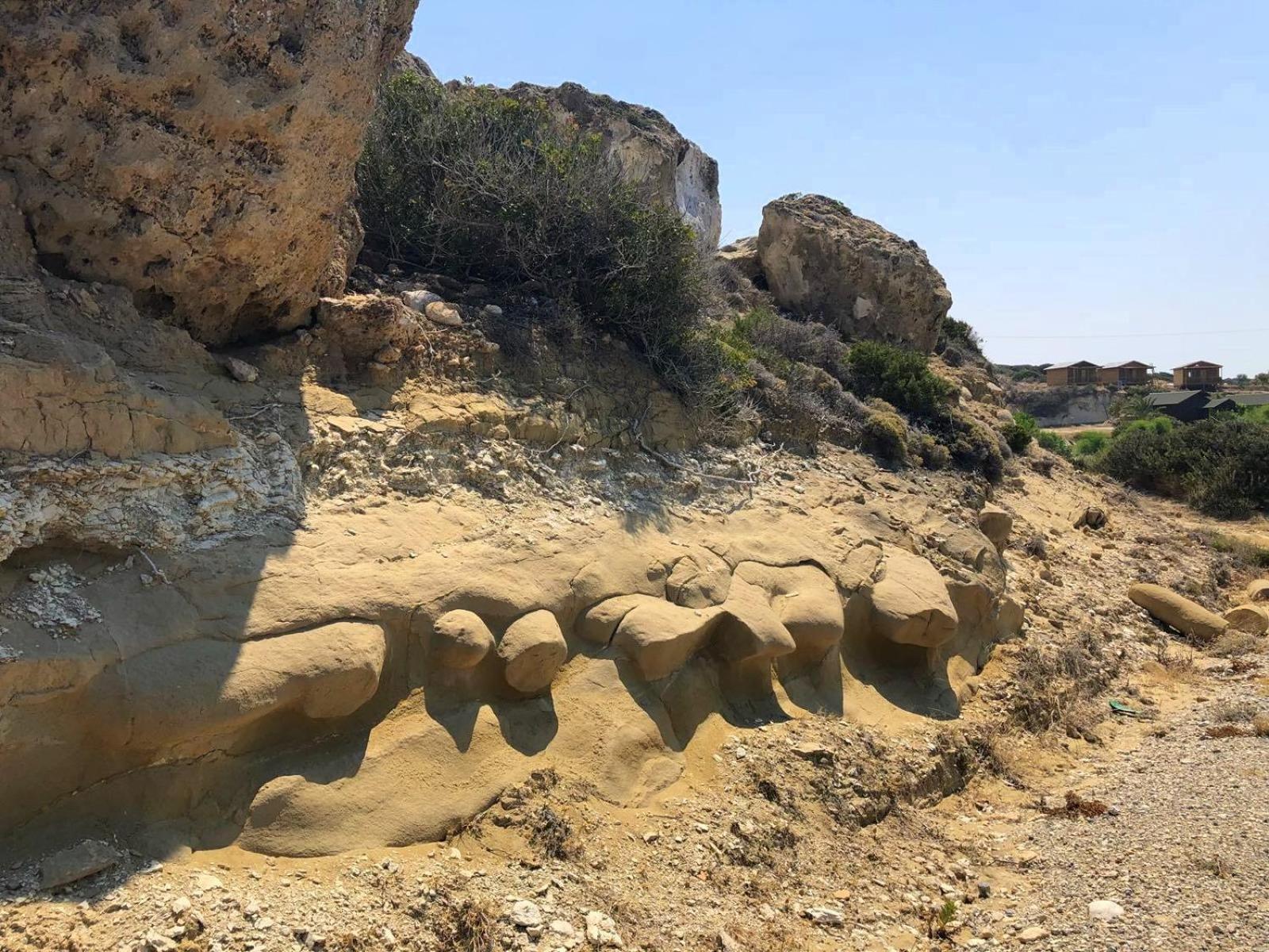 Zambak Holiday Village & Restaurant Superb Seafront Location ! Agios Georgios  المظهر الخارجي الصورة