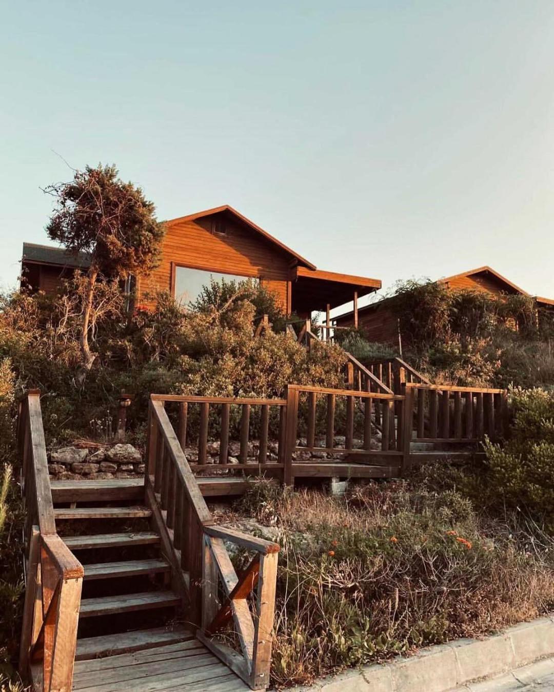 Zambak Holiday Village & Restaurant Superb Seafront Location ! Agios Georgios  المظهر الخارجي الصورة